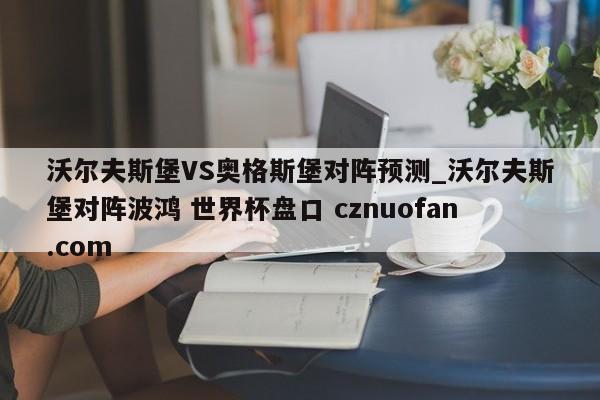 沃尔夫斯堡VS奥格斯堡对阵预测_沃尔夫斯堡对阵波鸿 世界杯盘口 cznuofan.com