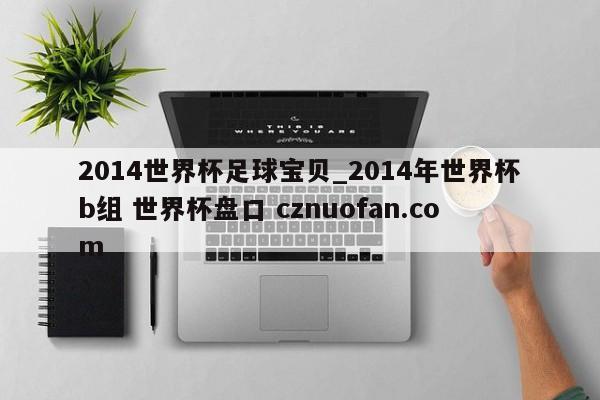 2014世界杯足球宝贝_2014年世界杯b组 世界杯盘口 cznuofan.com